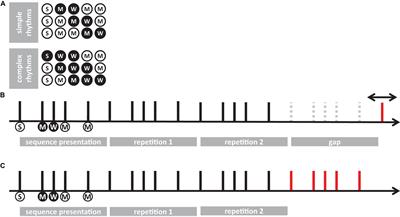 Tapping Force Encodes Metrical Aspects of Rhythm